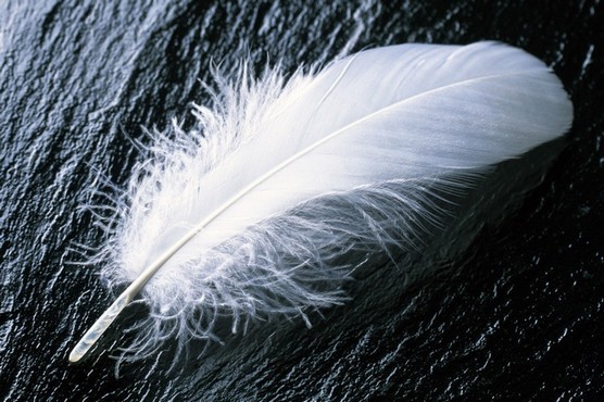 nature_wallpaper_56-1280x800